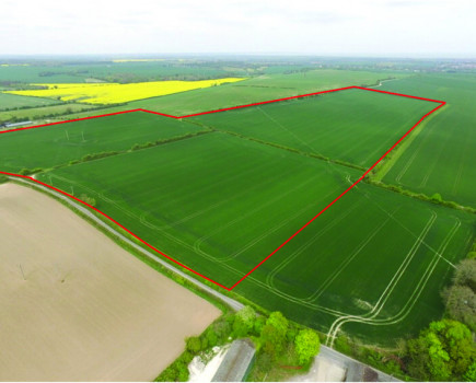 Attractive block of arable land