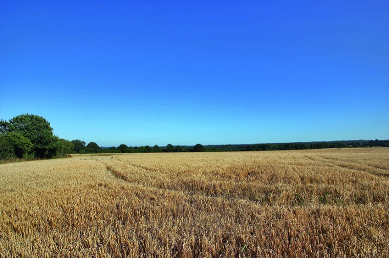 Farmland prices steady