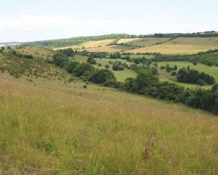 Big ring-fenced block