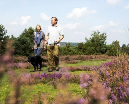 #HelpTheHeaths