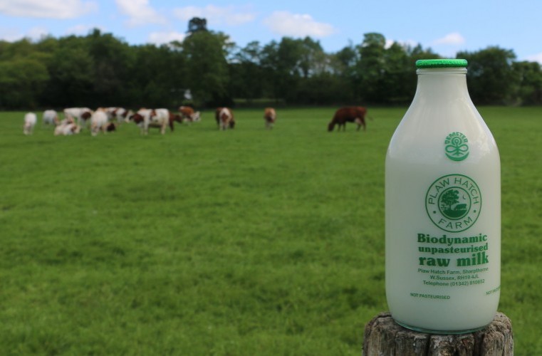 Launch of the Raw Milk Producers Association