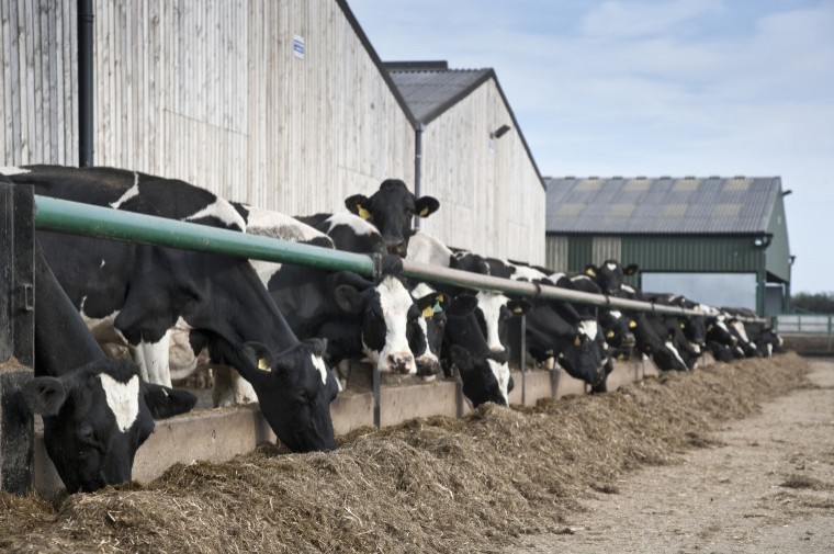Reduce feed waste to help silage stocks last until turnout