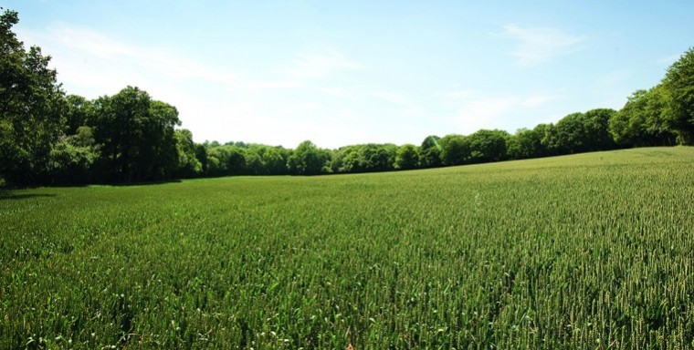 Farmland market showing extreme variability