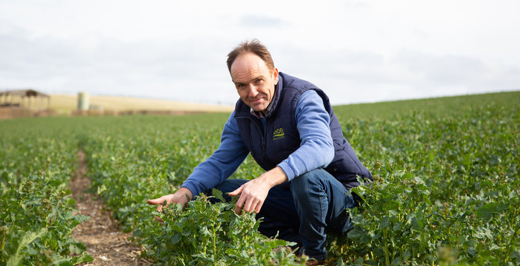 Black-grass experience inspires farmer to share his story