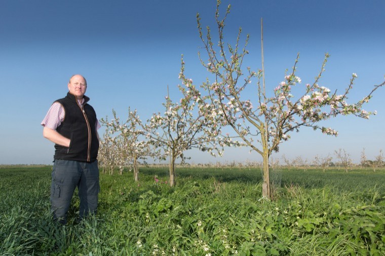 Farmers urged to branch out