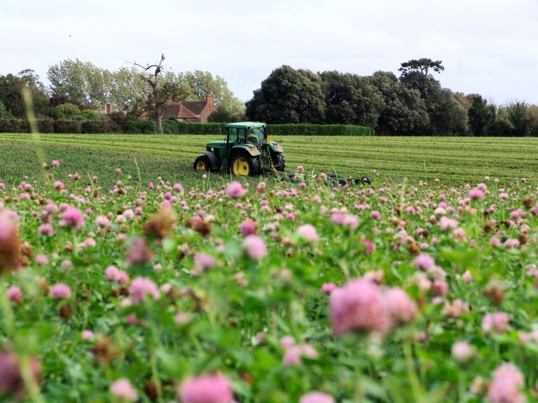 Estate farm wins top awards