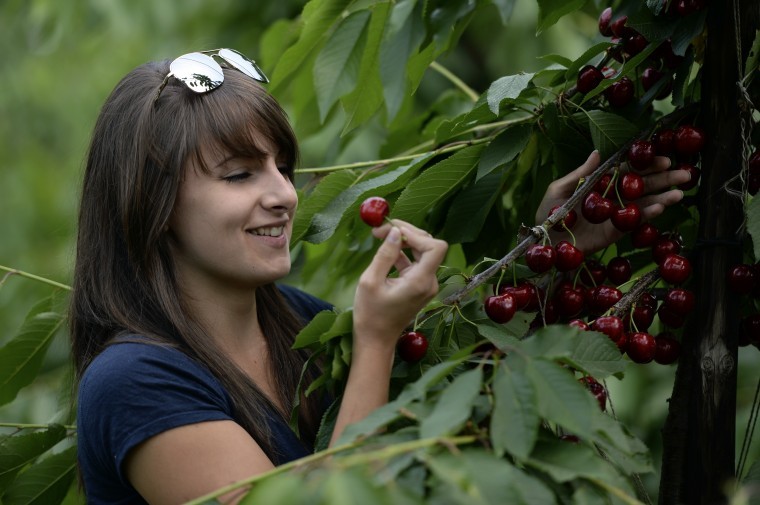 Apprentice wins Sainsbury’s award