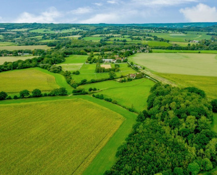 Attractive farmland with diversification opportunities