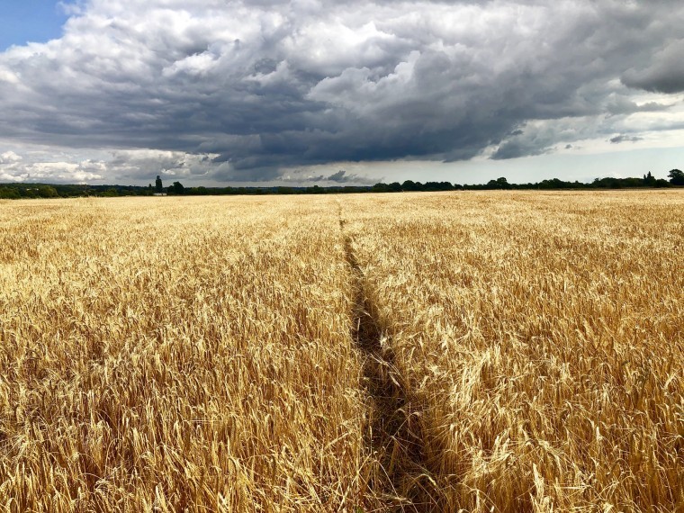 Productive arable farmland