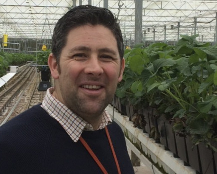 Agrovista strengthens fruit agronomy team