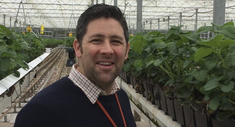 Agrovista strengthens fruit agronomy team