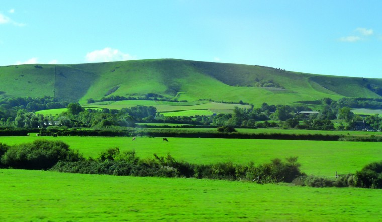 Tough new regime for big farms in park