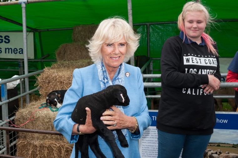 Royal visit for 50th South of England Show