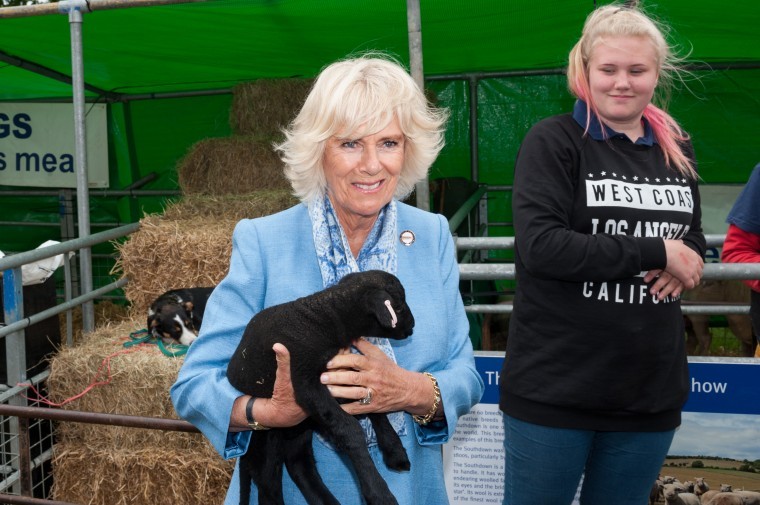 Royal visit for 50th South of England Show