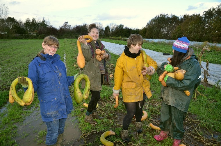 More farms wanted in drive to end food waste