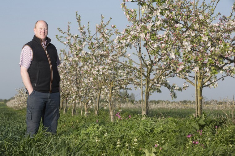 Making agroforestry fit