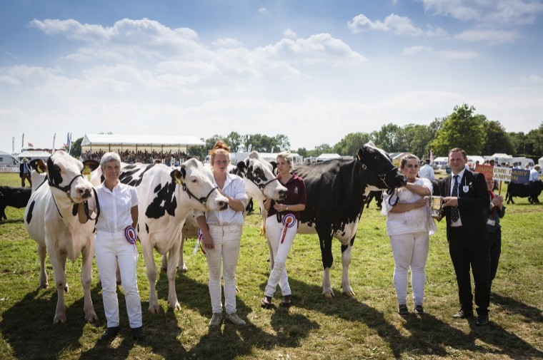 Highest number of sheep entries since 2007