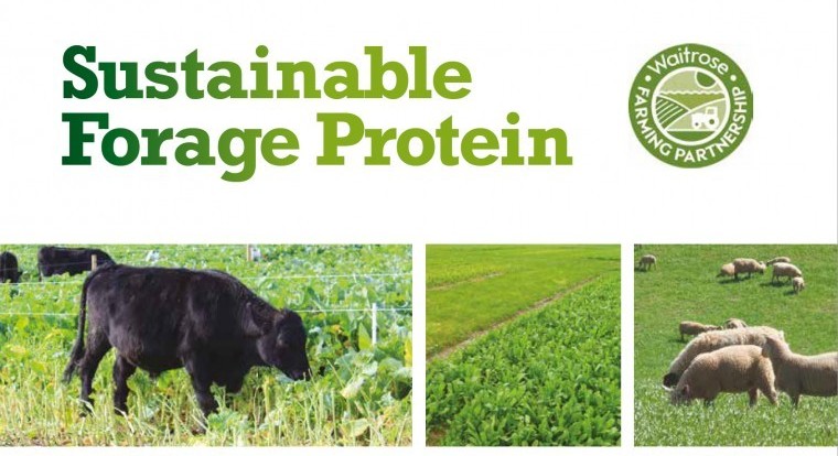 Forage protein potential