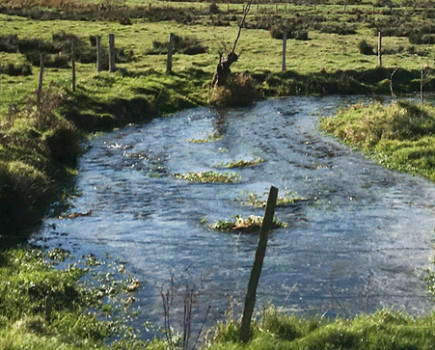 £10,000 of Capital Grant Scheme funding available to Kent farmers and landowners