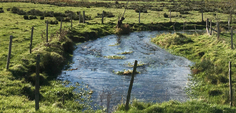 £10,000 of Capital Grant Scheme funding available to Kent farmers and landowners