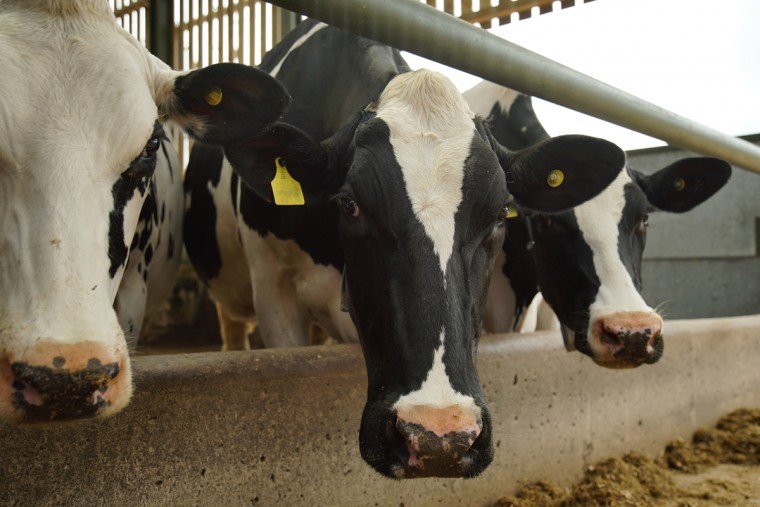 Tips to avoid common mistakes in parlour hygiene