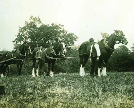 Ploughing a place in the community