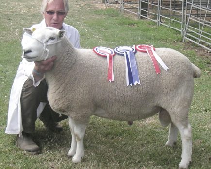 ALAN WEST: Agricultural shows and the general public