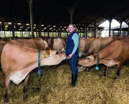 ANITA HICKSON: Amazing lamb and beef prices