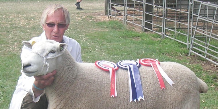 Measuring how sheep show pain in their faces