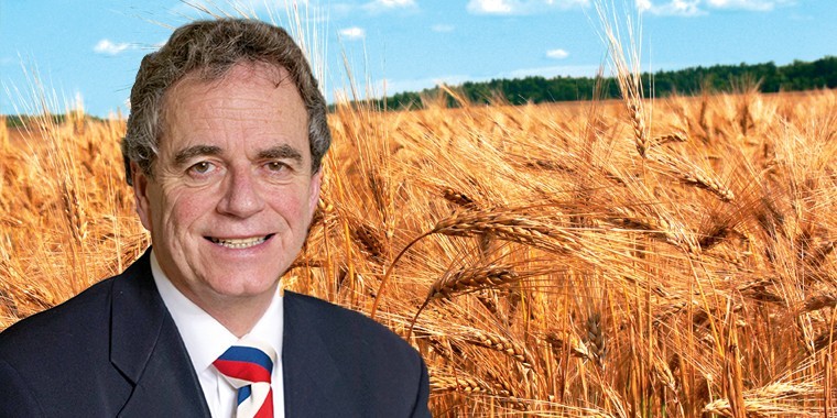 Wheat stocks weighing heavy on UK market