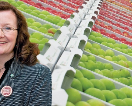 Text book fruit farming