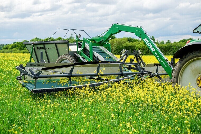 Innovative weed harvester