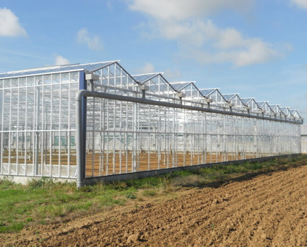Spectacular new glasshouse to be rebuilt with improvements at Hadlow