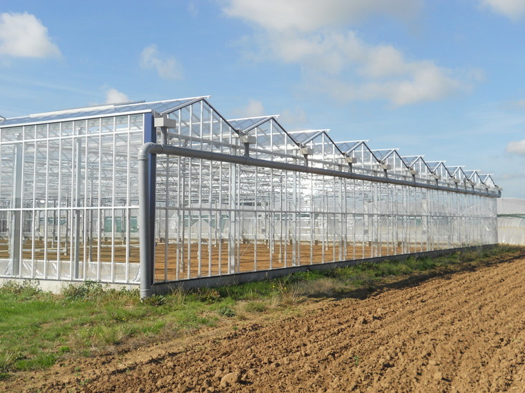 Spectacular new glasshouse to be rebuilt with improvements at Hadlow