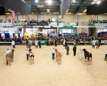 Future proofing businesses at the Dairy Show