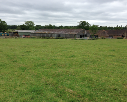 Farm tenancy opportunity in Sussex
