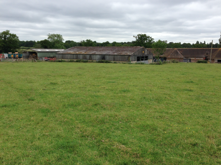 Farm tenancy opportunity in Sussex