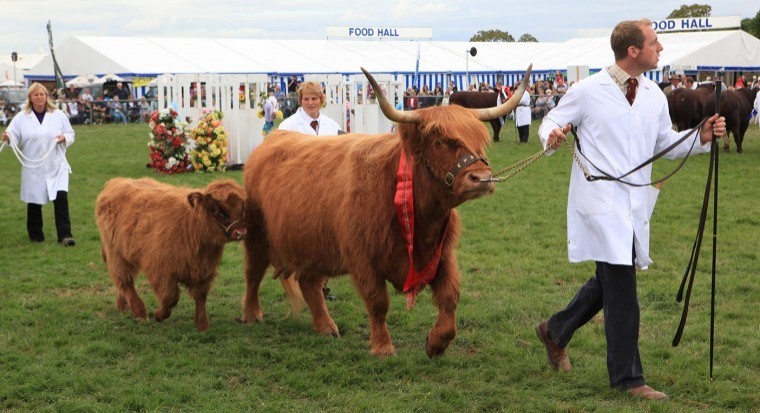 Edenbridge & Oxted Agricultural Show