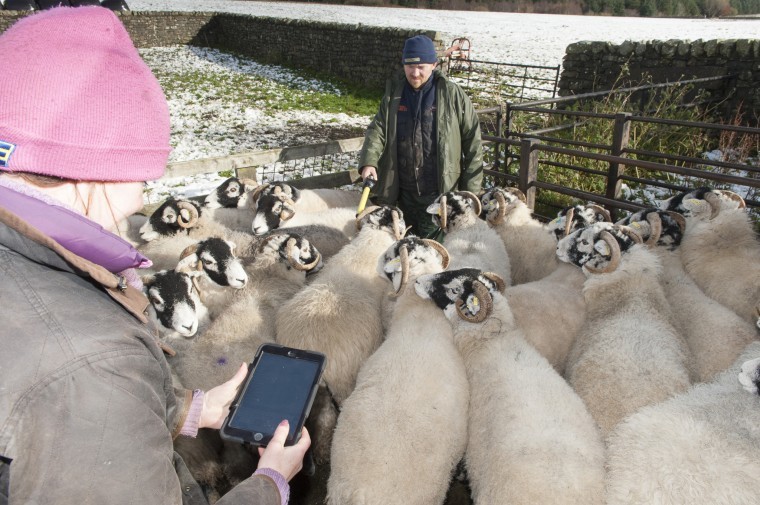Updated app simplifies flock and herd record keeping