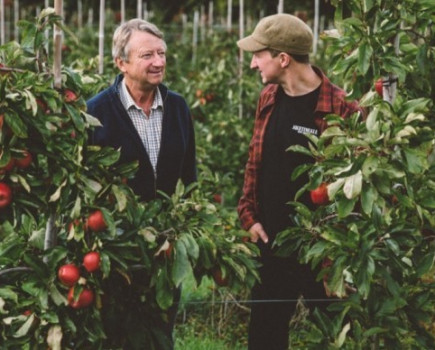 Diversification is key for family-owned Kent fruit farm