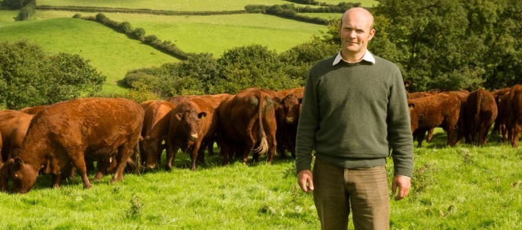 £300,000 available for rural projects from The Prince’s Countryside Fund