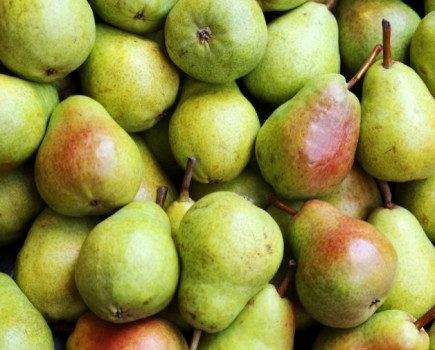 Kent Farm creates 15 full time jobs