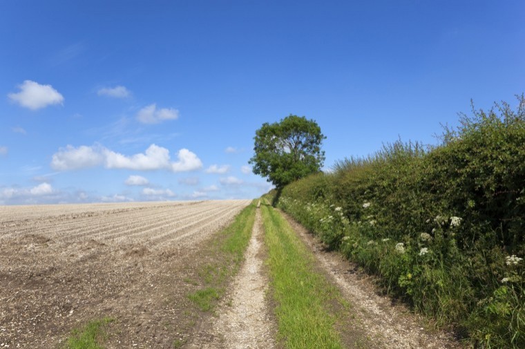 Time to apply for Hedgerows and Boundaries Grant Scheme