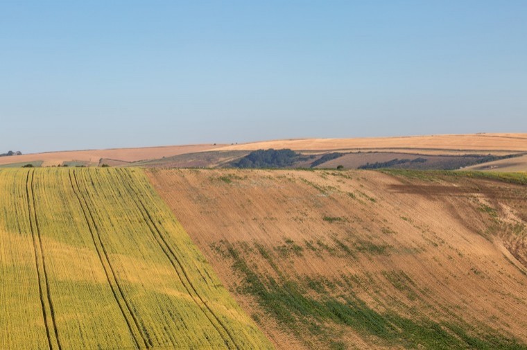 Crops are average and feed prices up