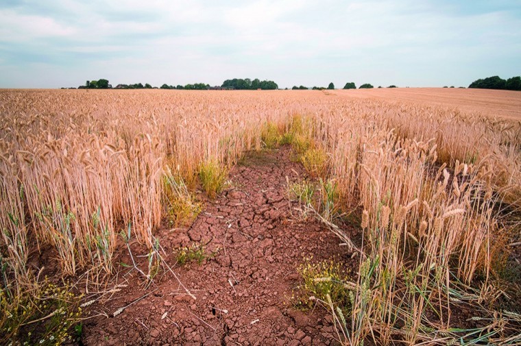 Farms hit by hot weather call charity