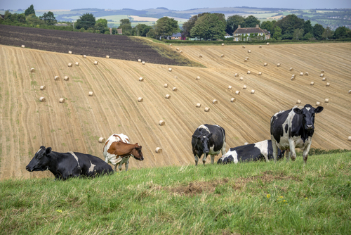 The future of farming: Adapting to a changing environment