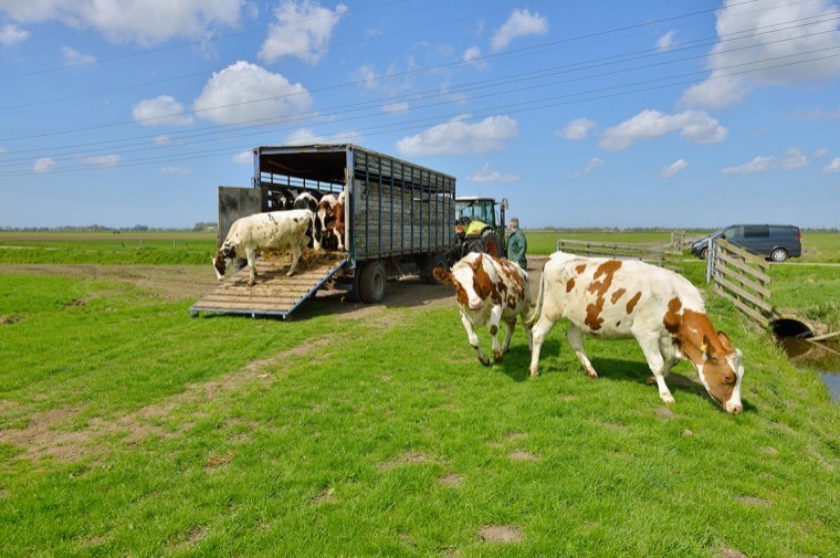 Campaign to halt the spread of bovine TB