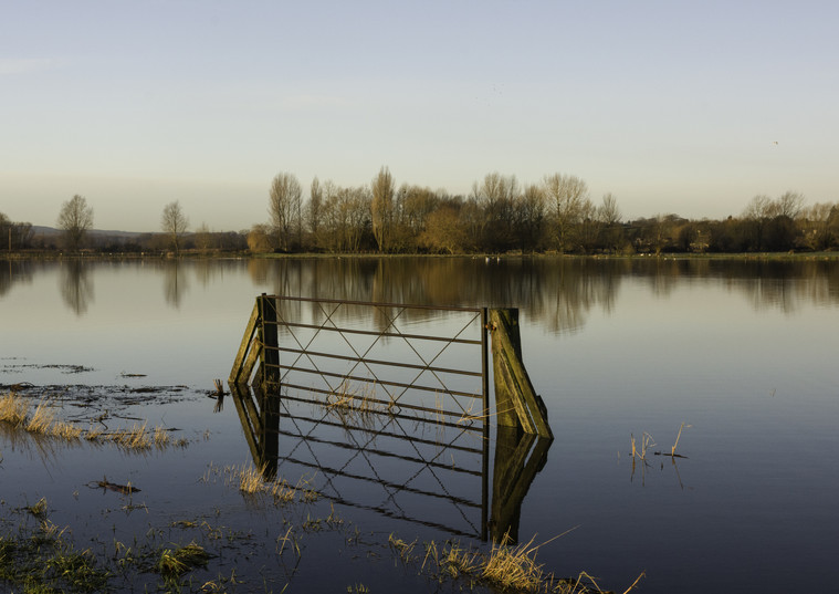 Three crop rule relaxed and £6 million fund