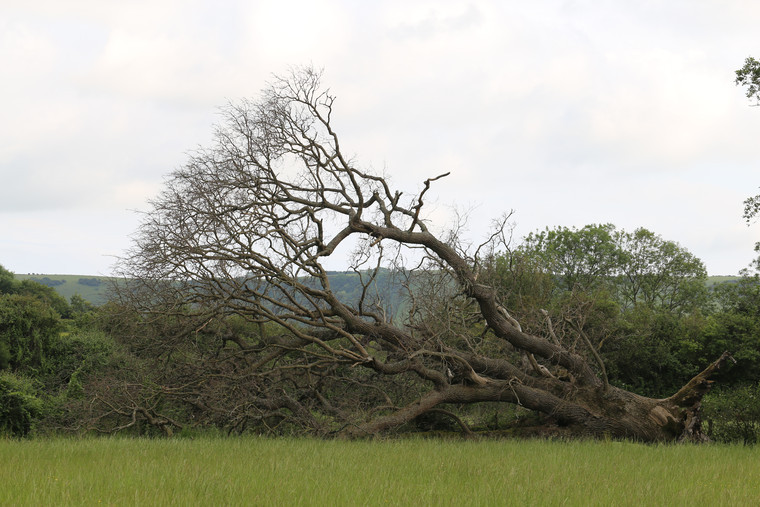 RABI announces storm response fund for farmers