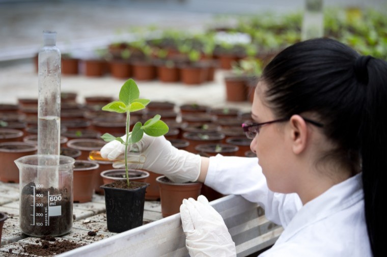 Horticulture hit by skills shortage
